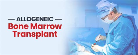 Bone marrow transplant: What it is, uses, risks, and .